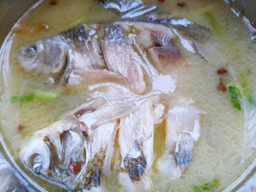 午餐•2024年9月28日