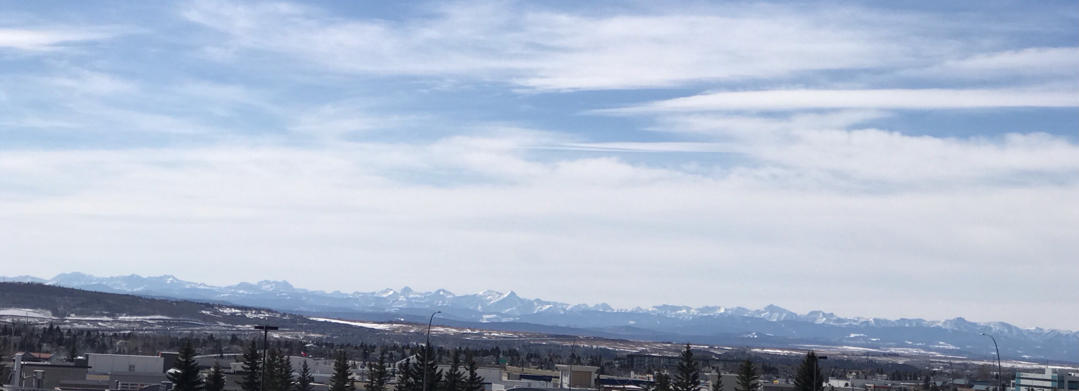 求人求己求美食