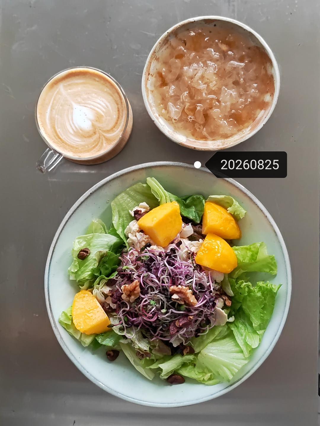 企鹅家的间歇性素食