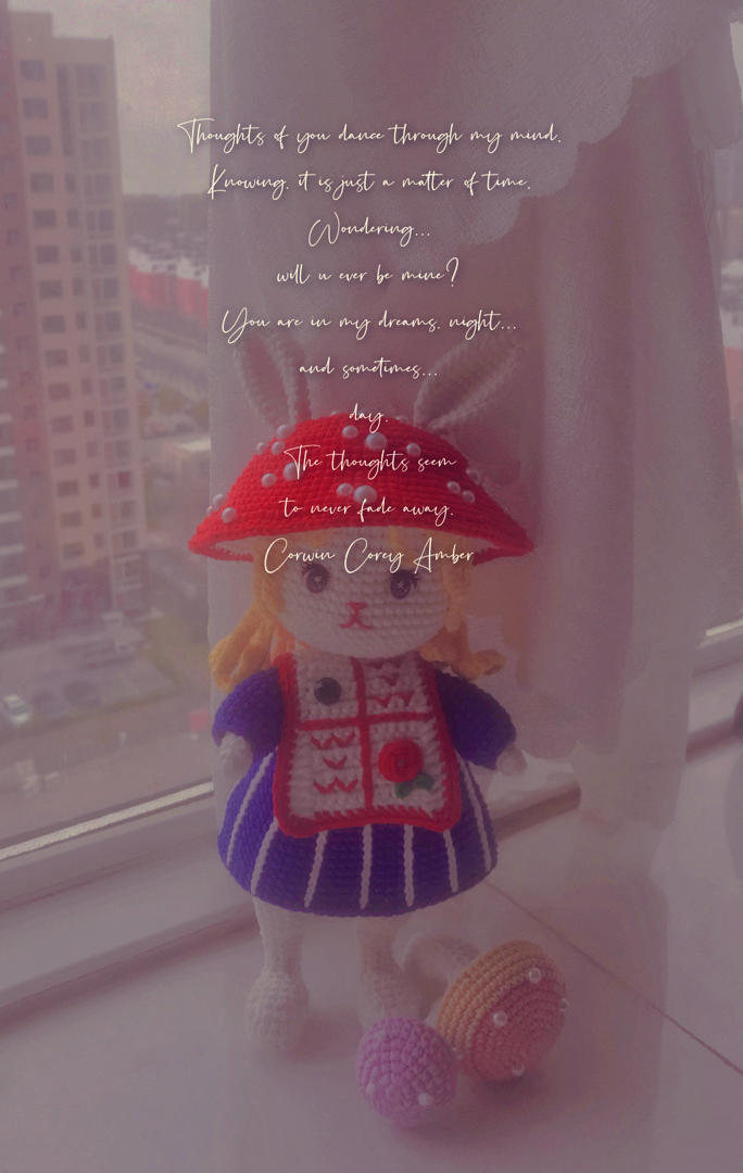 锦瑟年华-3