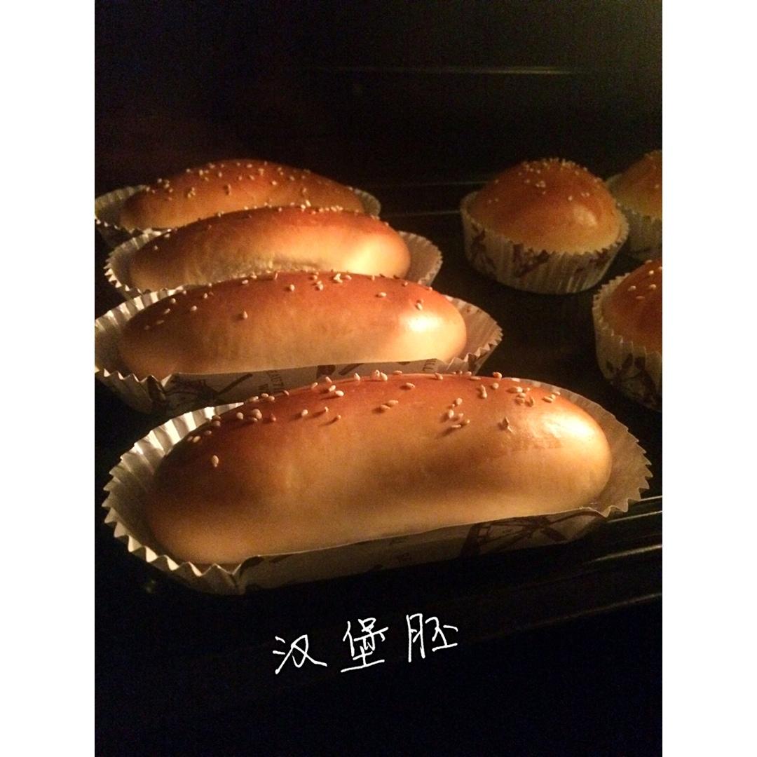 汉堡胚（中种法）