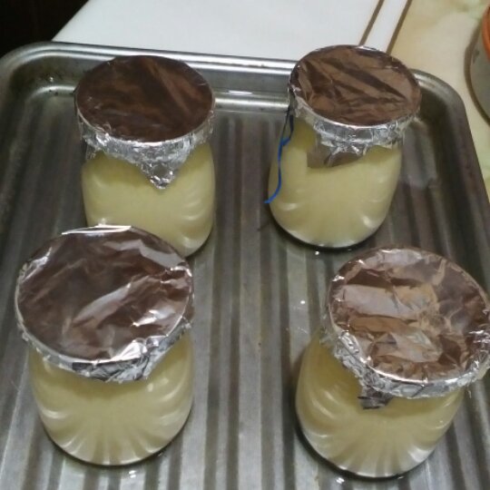 超简单蛋奶布丁（烤箱版）