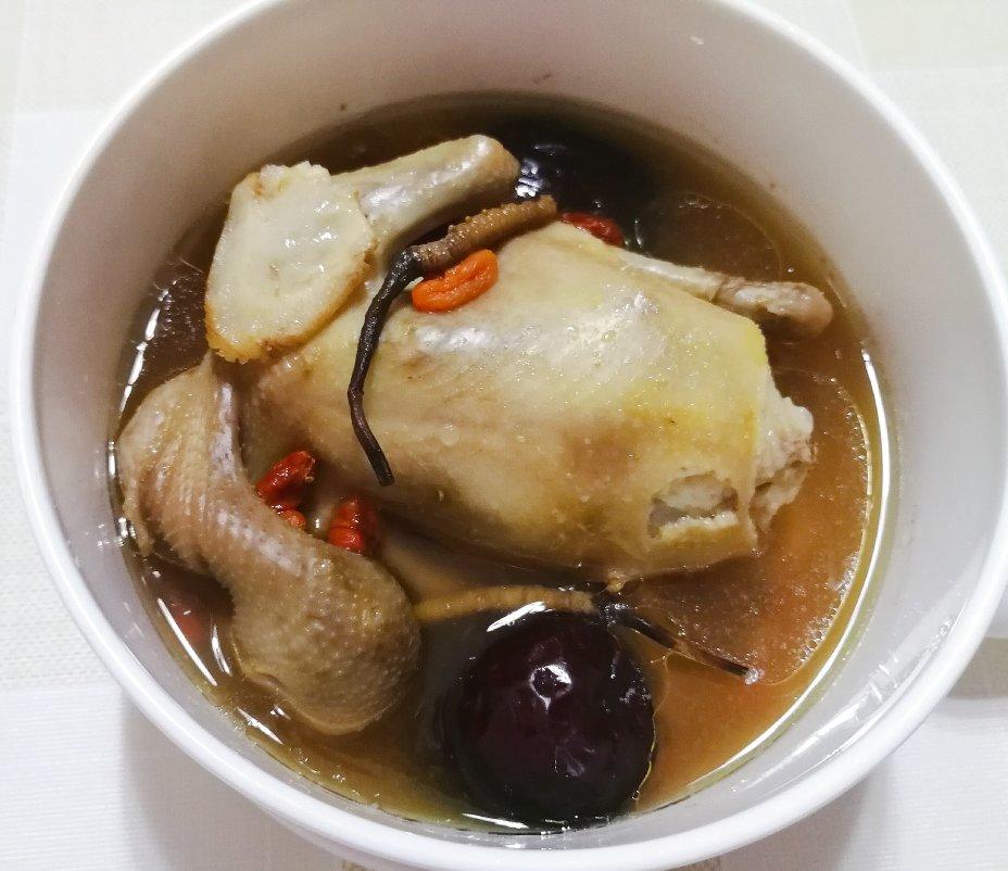 虫草花鸽子汤