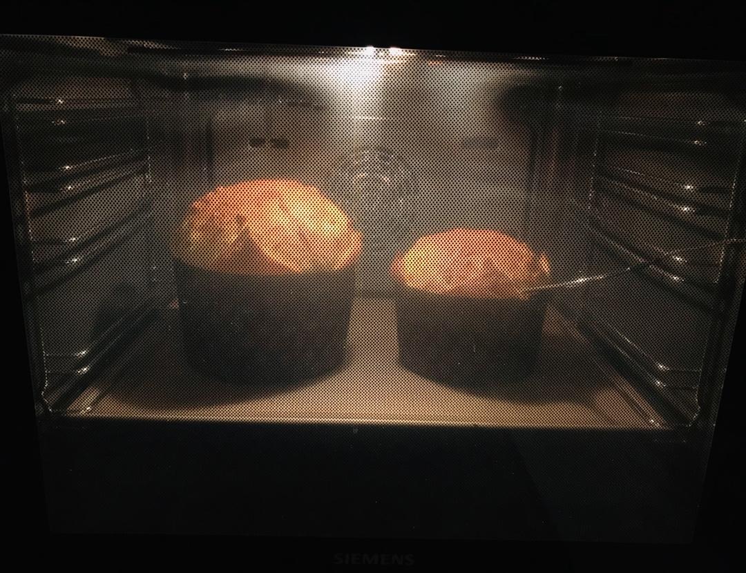 潘娜托尼(天然酵母版) Sourdough Panettone