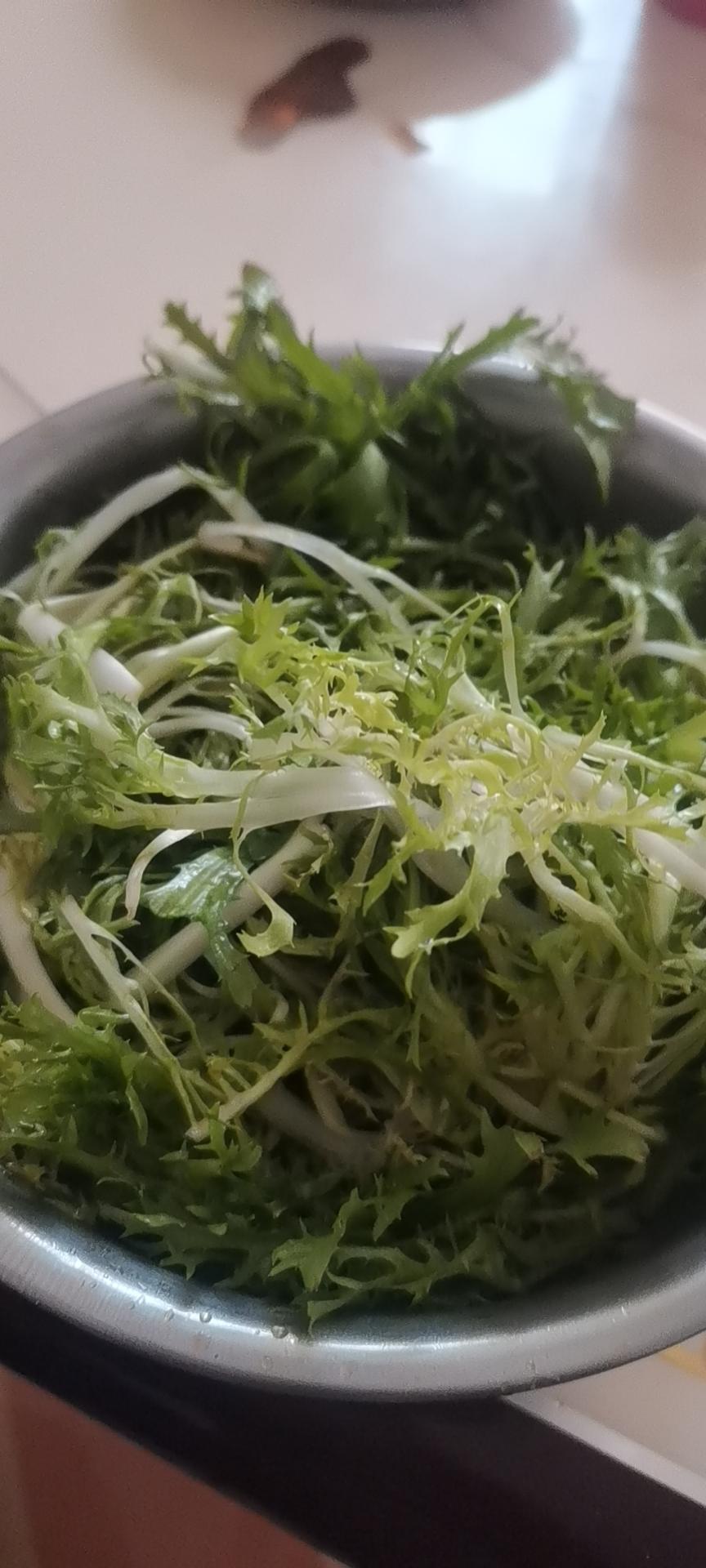 凉拌苦菊——简单爽口