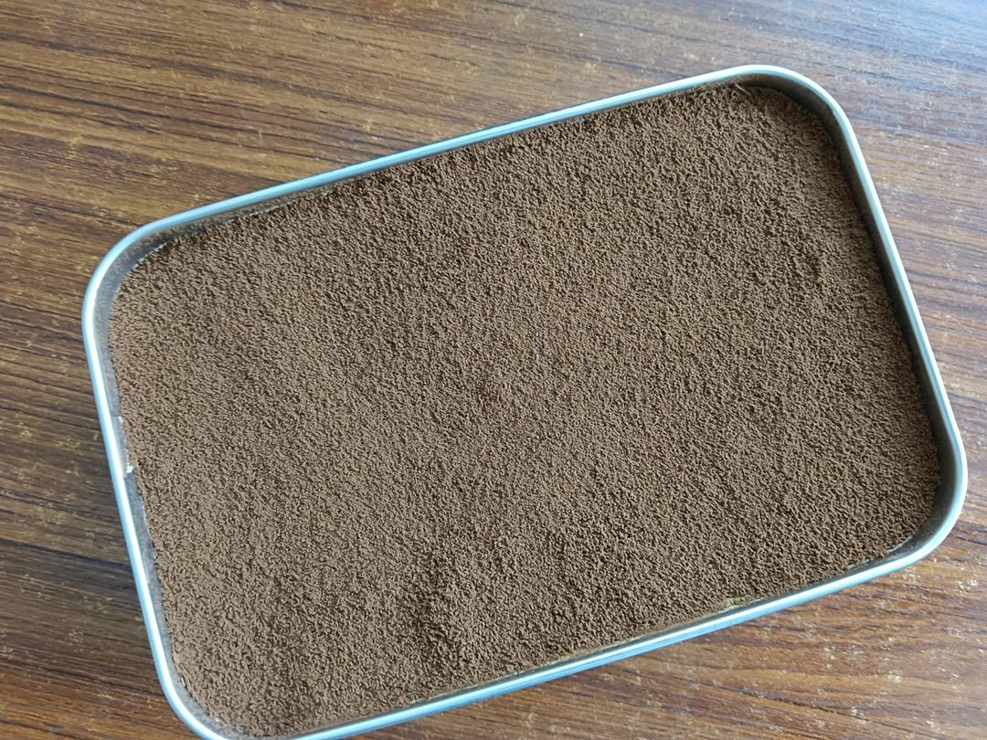 在欧洲学会的经典版提拉米苏