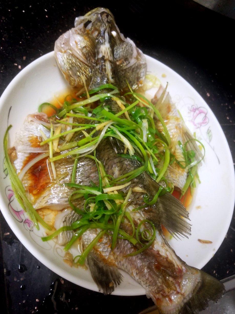 豉汁蒸肓曹鱼
