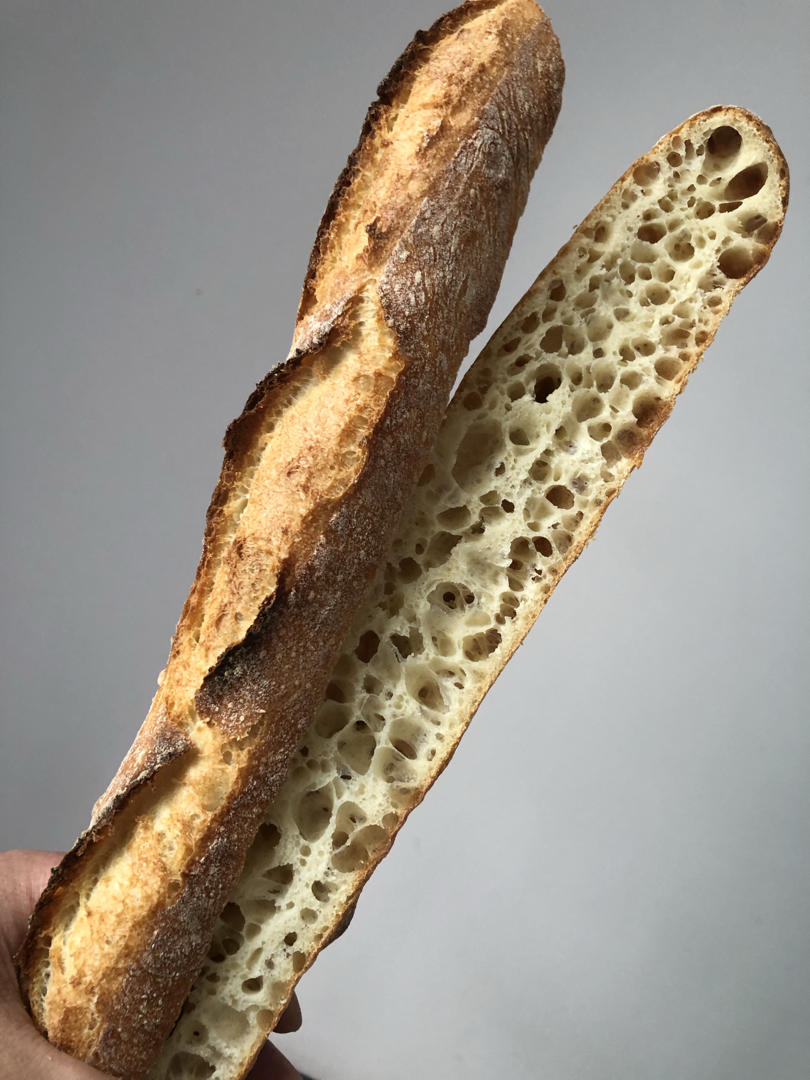 快速法棍【鲁邦种】