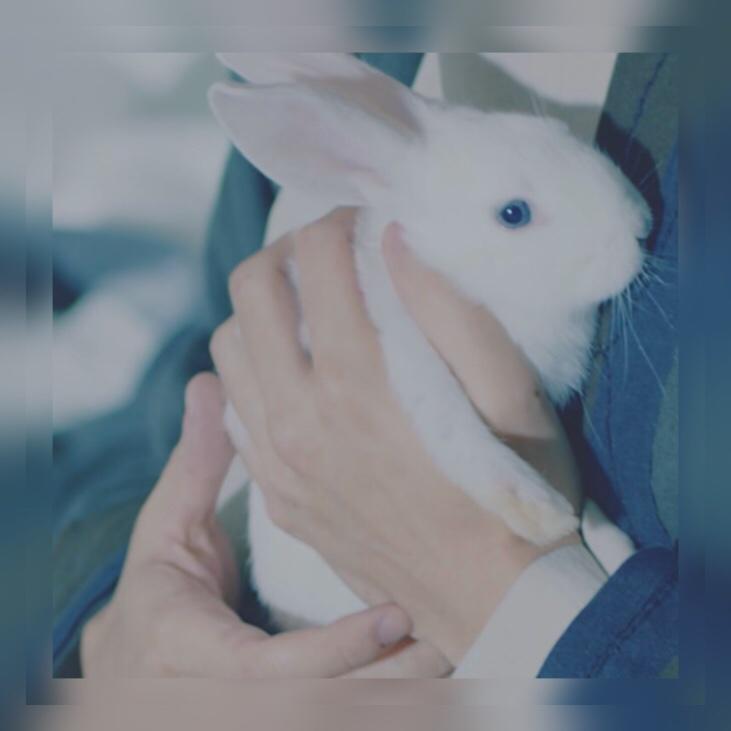 aaaaaax_z