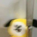 七_9odu