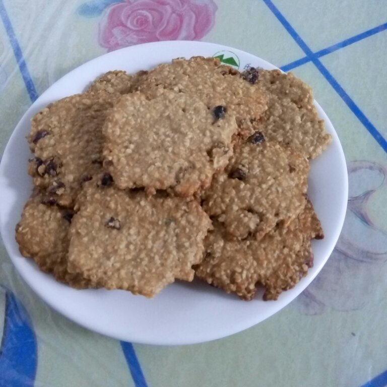 提子燕麦饼干