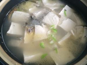 #小北辅食记#豆腐鲫鱼汤的做法 步骤1