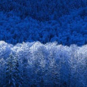 写文无序赏花开