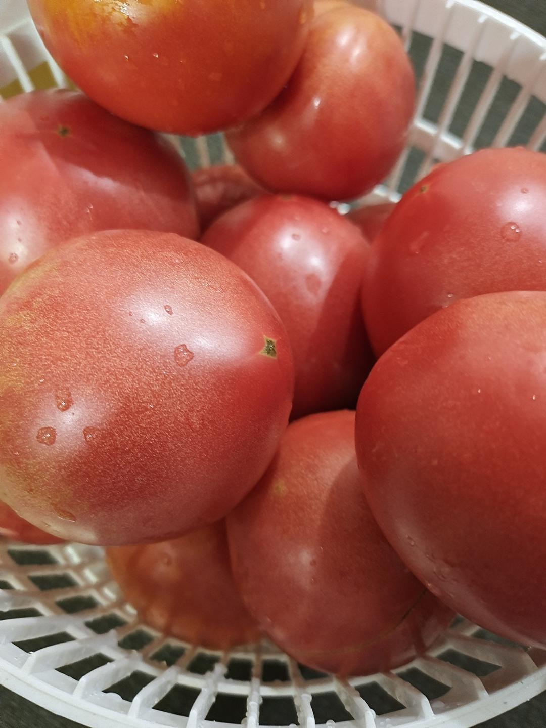 冷冻保存菜