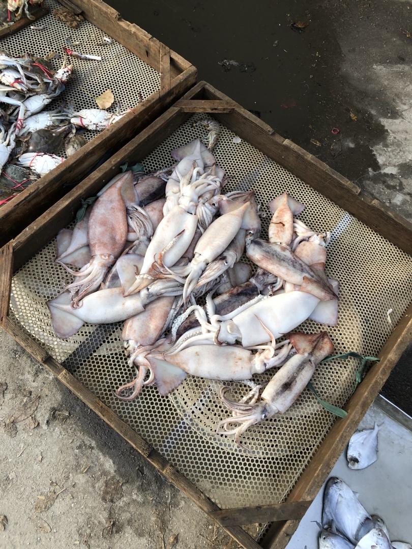 记录我做过的海鲜们