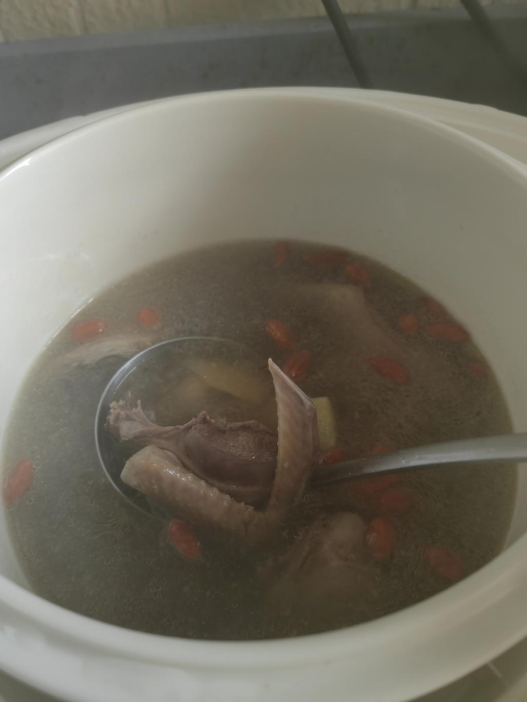 适合小朋友喝的鸽子汤来喽！