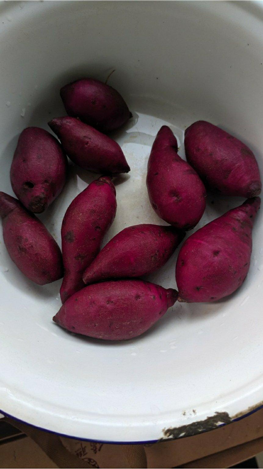 蒸红薯