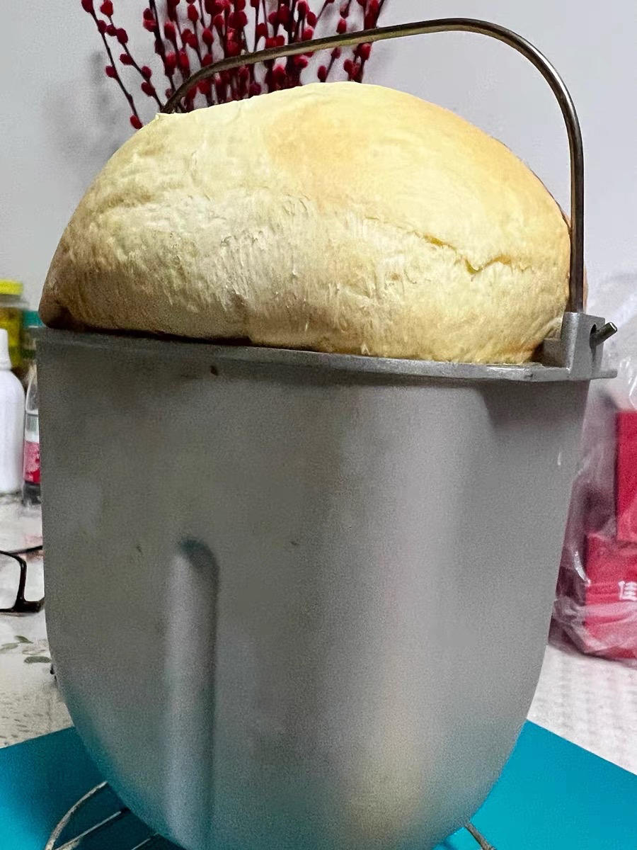 藜麦全麦吐司 | 松下面包机SD-PY100