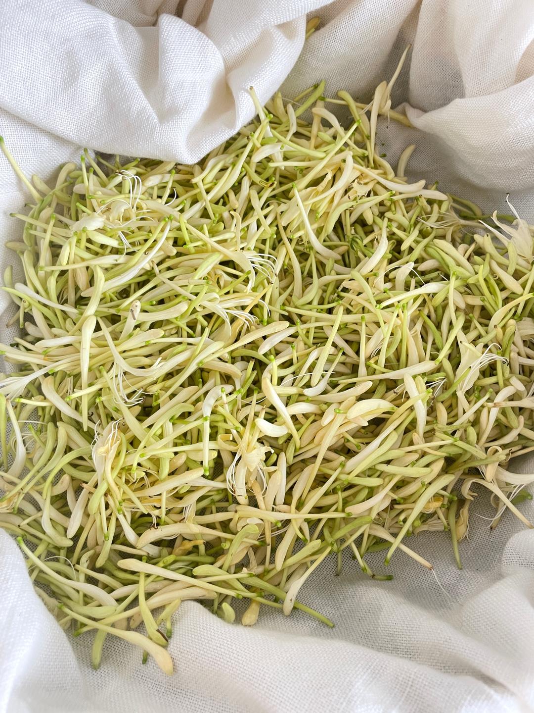 金银花茶(空气炸锅)的做法 步骤3