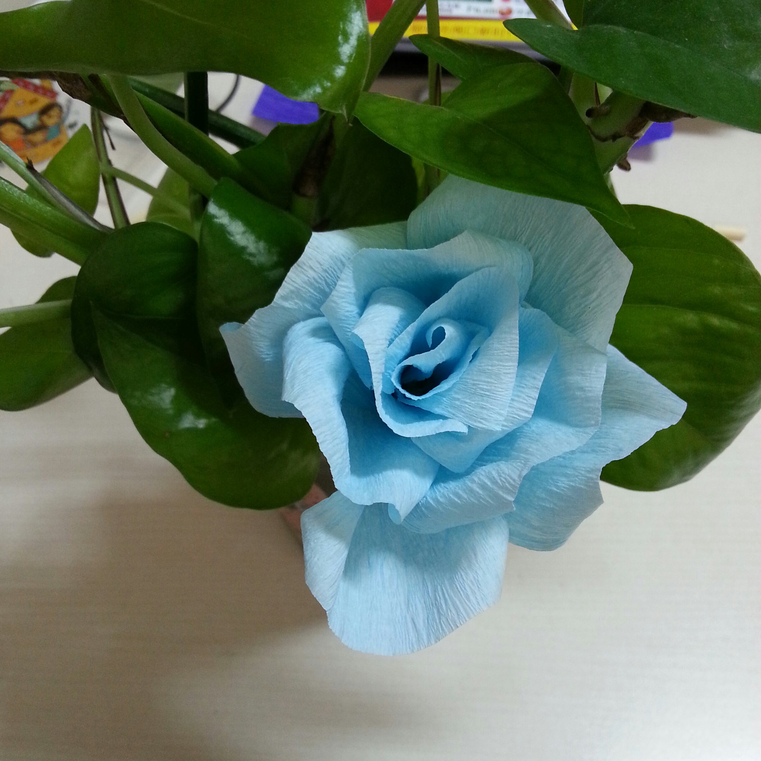 晚餐•2015年10月25日