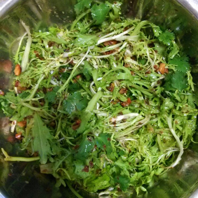 凉拌苦菊
