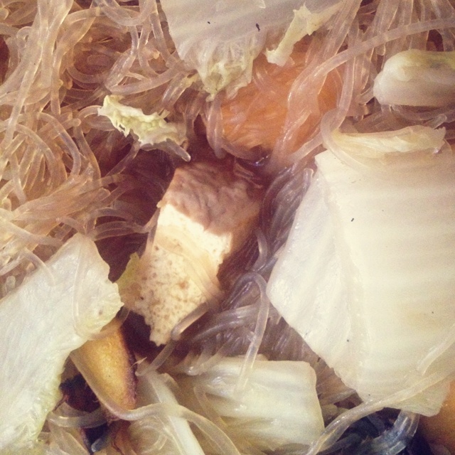白菜豆腐炖粉条