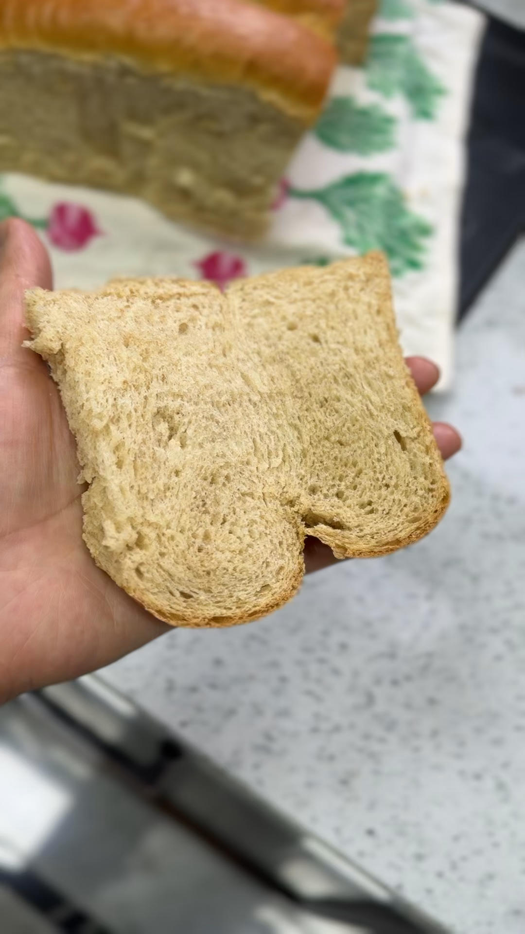 码住它｜你也能做出爆发力超强的全麦面包