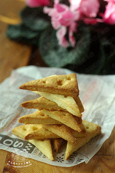 仿真奶酪饼干