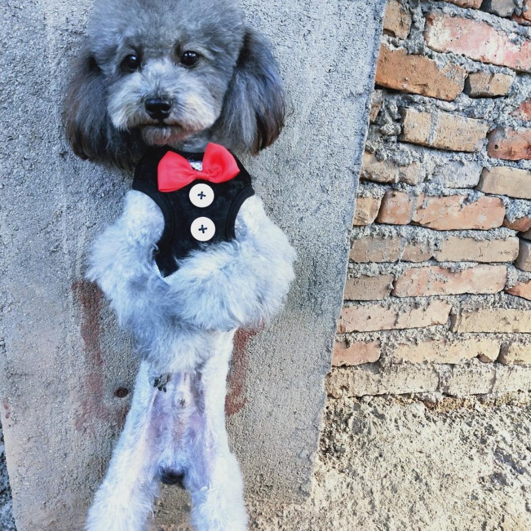 三天打渔两天晒网的神