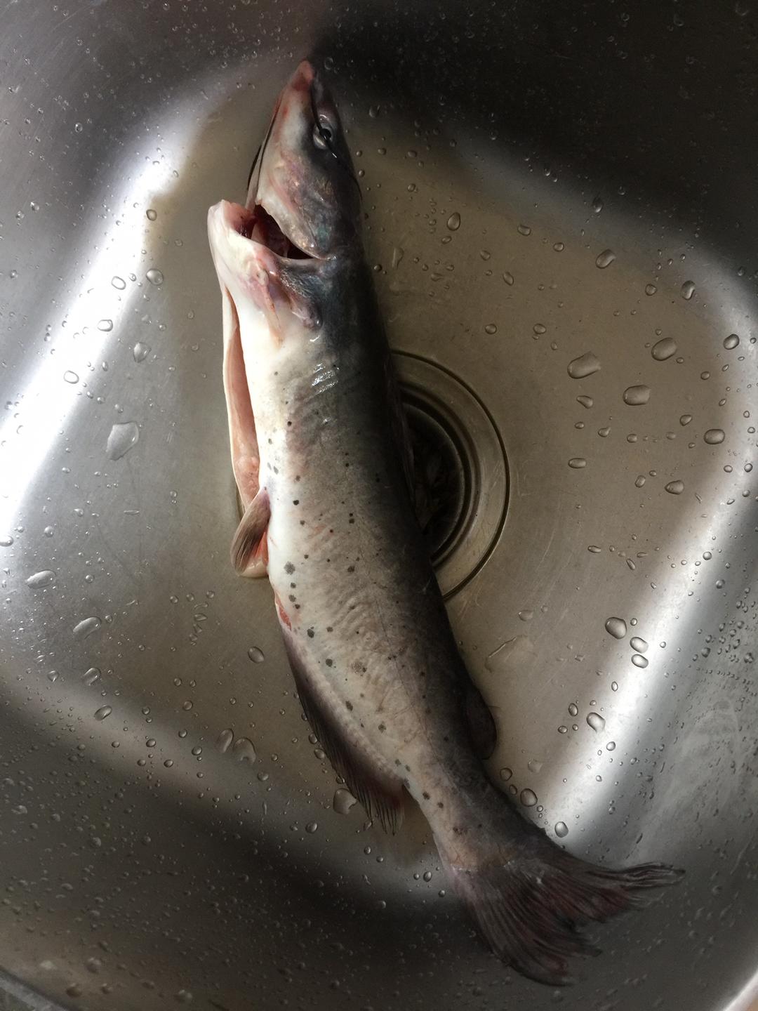 aip食疗清蒸钳鱼