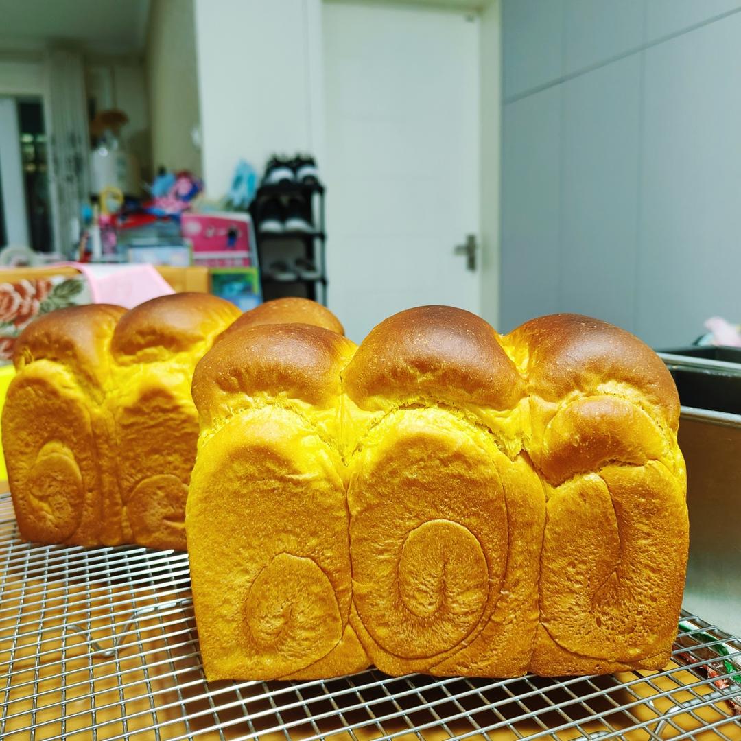 南瓜吐司（烫种法）