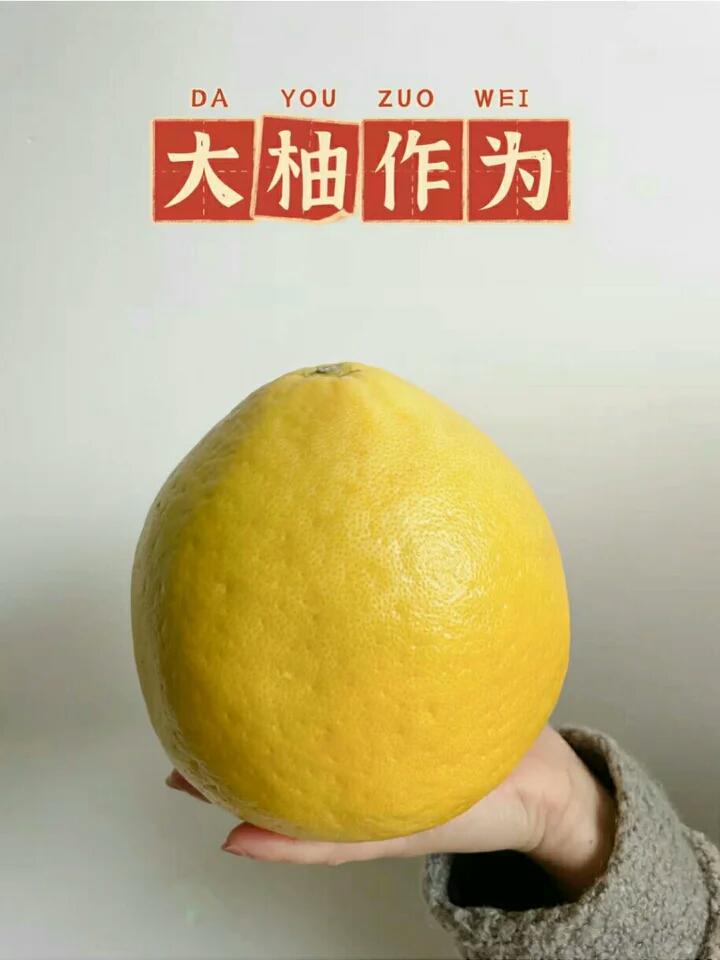 酱香柚子皮五花肉😋肥而不腻 入口即化超级下饭好味道