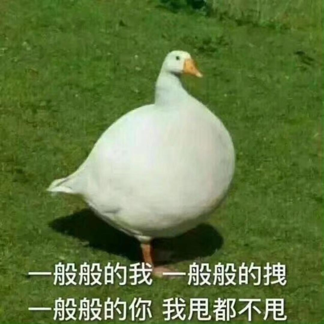 骑蜗牛上高速路