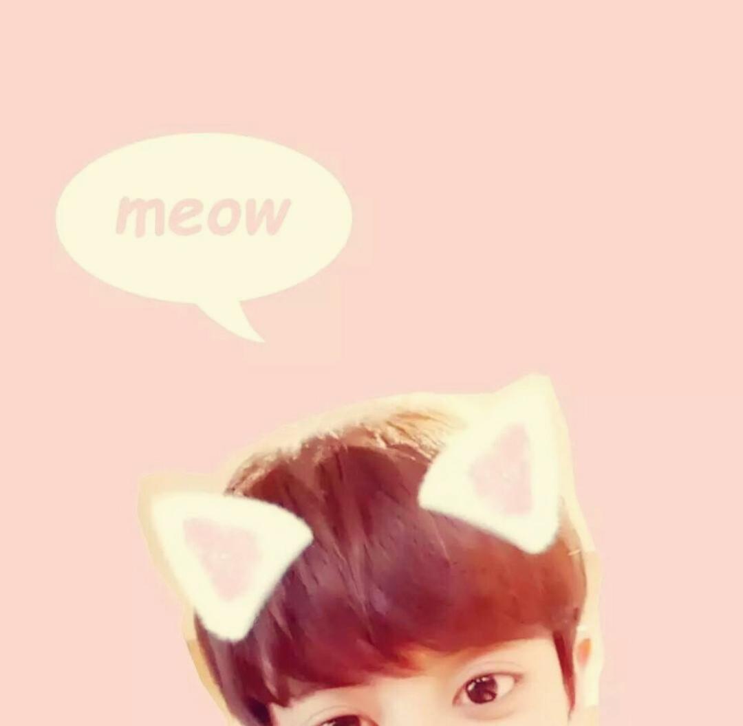 star_unicorn