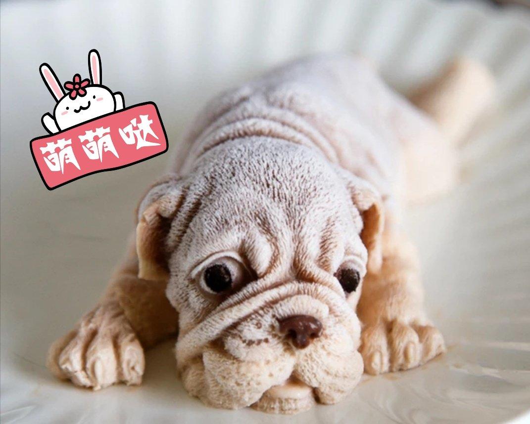 网红慕斯狗（琴姐）
