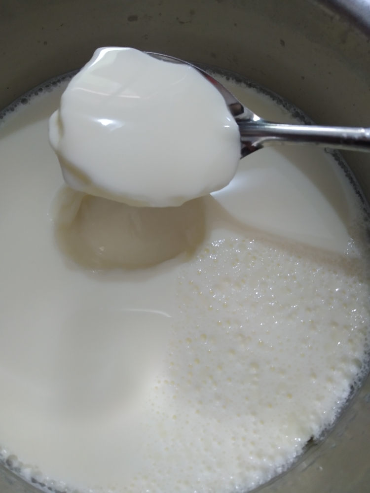 奶粉版酸奶的做法