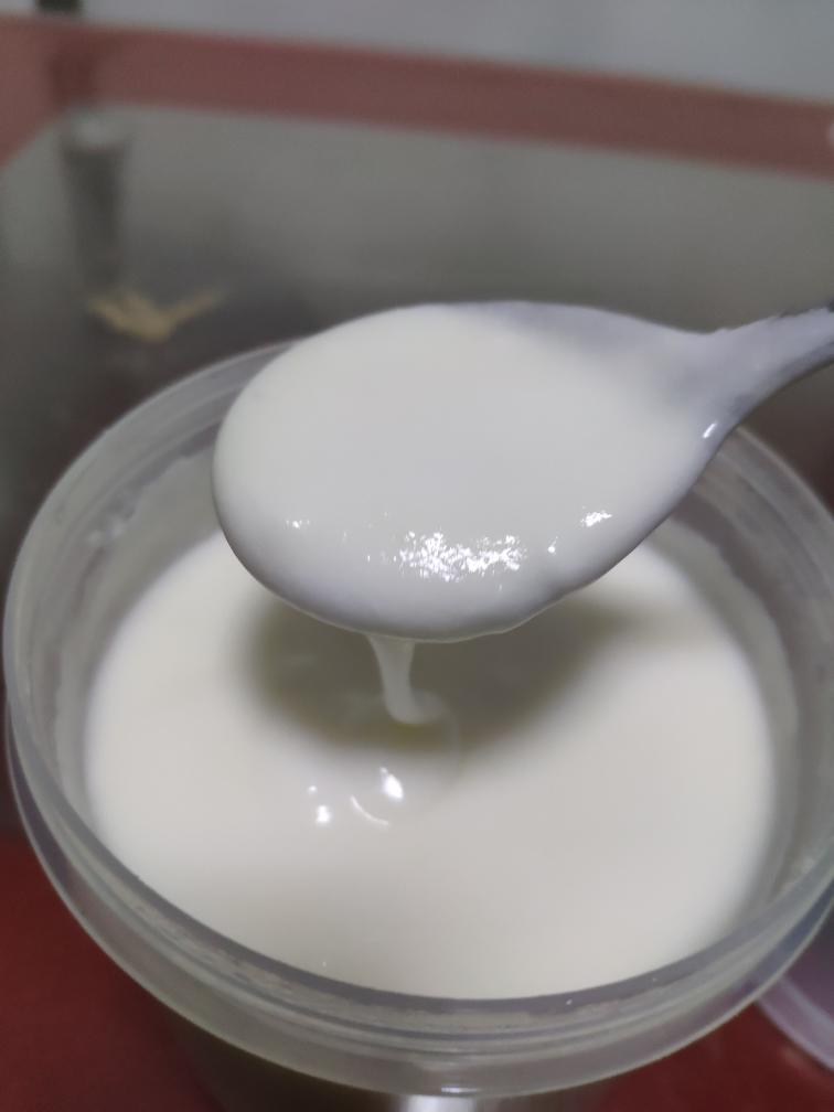 面包机做酸奶的做法