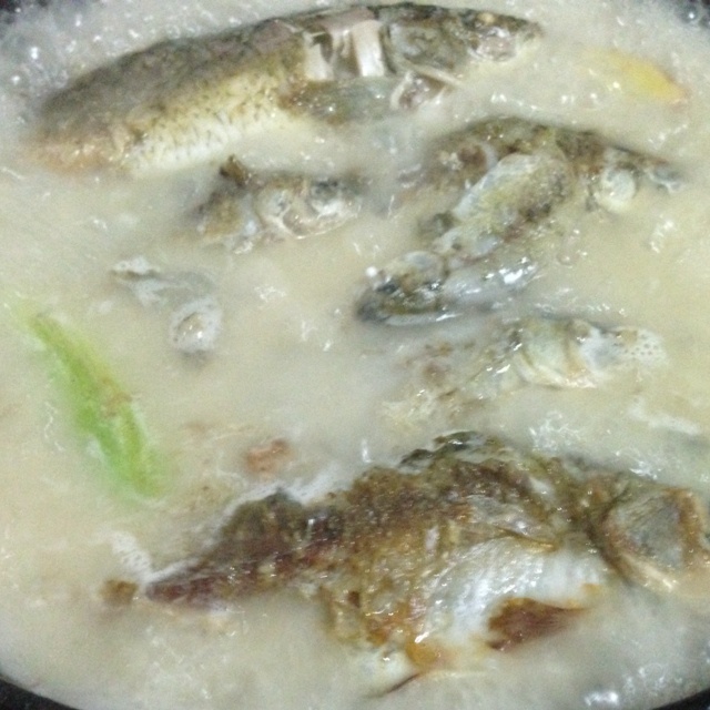 奶白鲫鱼汤（只加葱、姜、白胡椒粉）