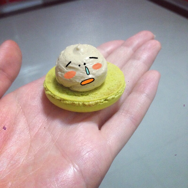 我的马卡龙日记
