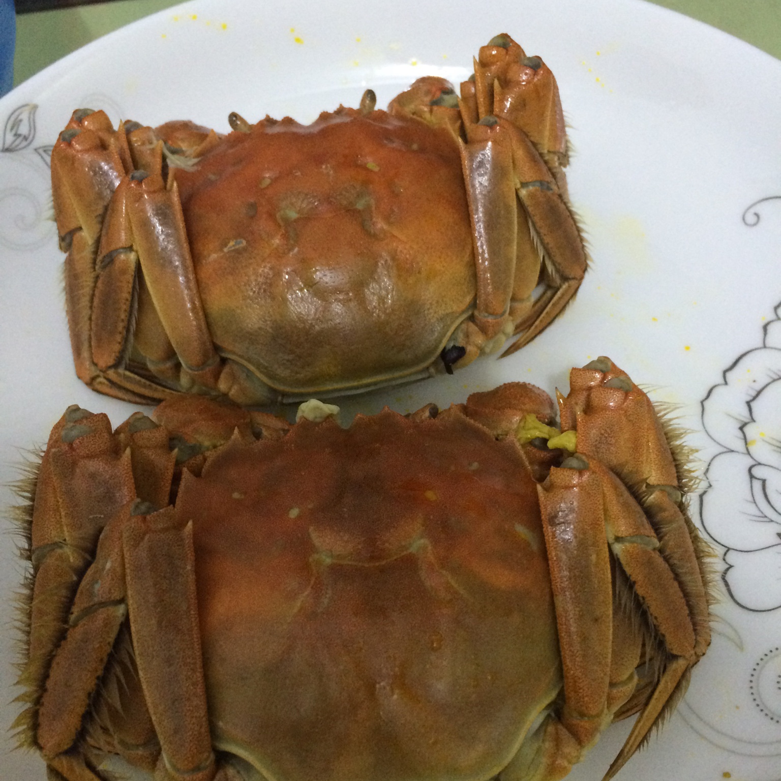 清蒸大闸蟹