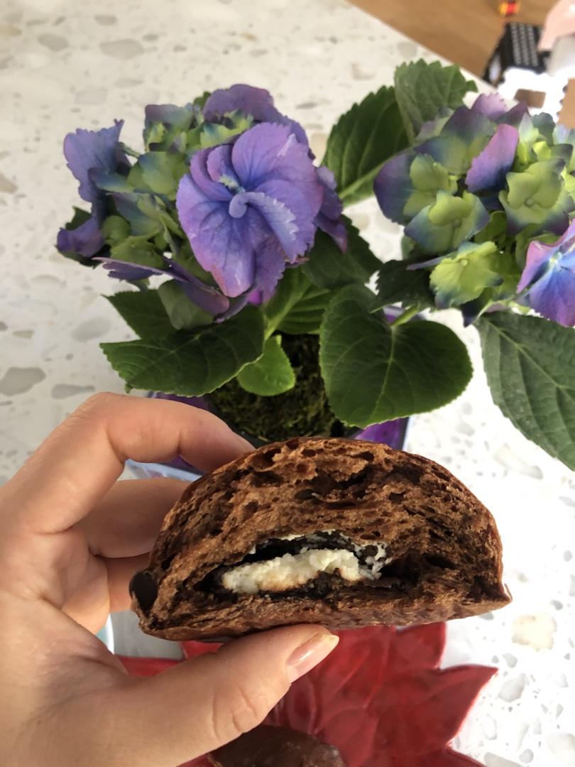 豪华版黑眼豆豆