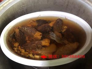 黑鱼羊肚菌茨实茯苓汤的做法 步骤5