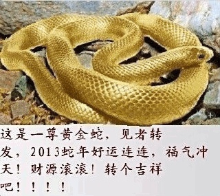 联翩而至