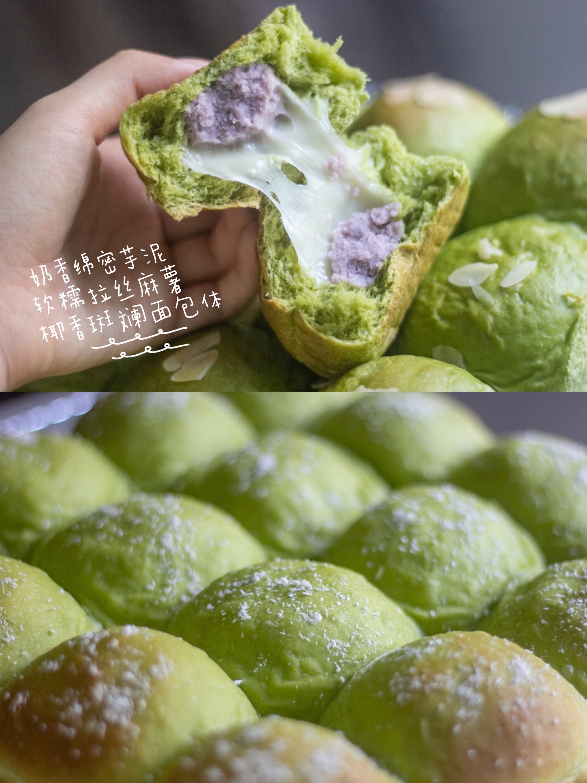 椰香斑斓芋泥麻薯小餐包🥥多重口感奶香绵密的做法