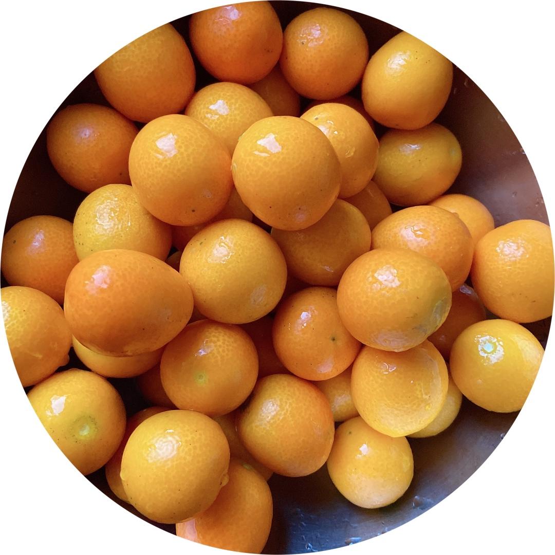 零失败❗️自制金桔蜜饯，干净又美味