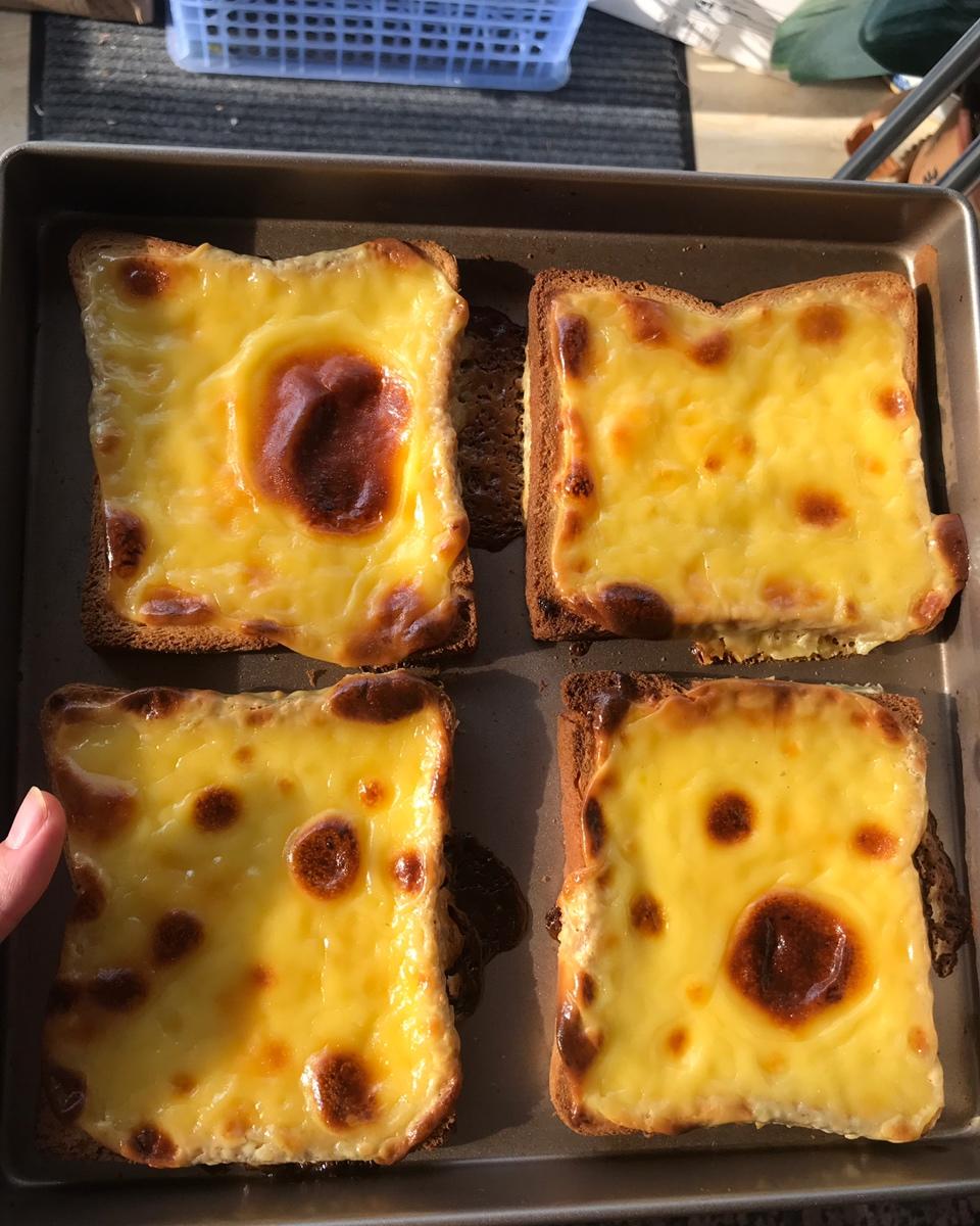 岩烧乳酪——松下厨师机HKM200