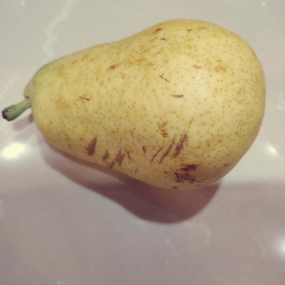 我爱土豆1234