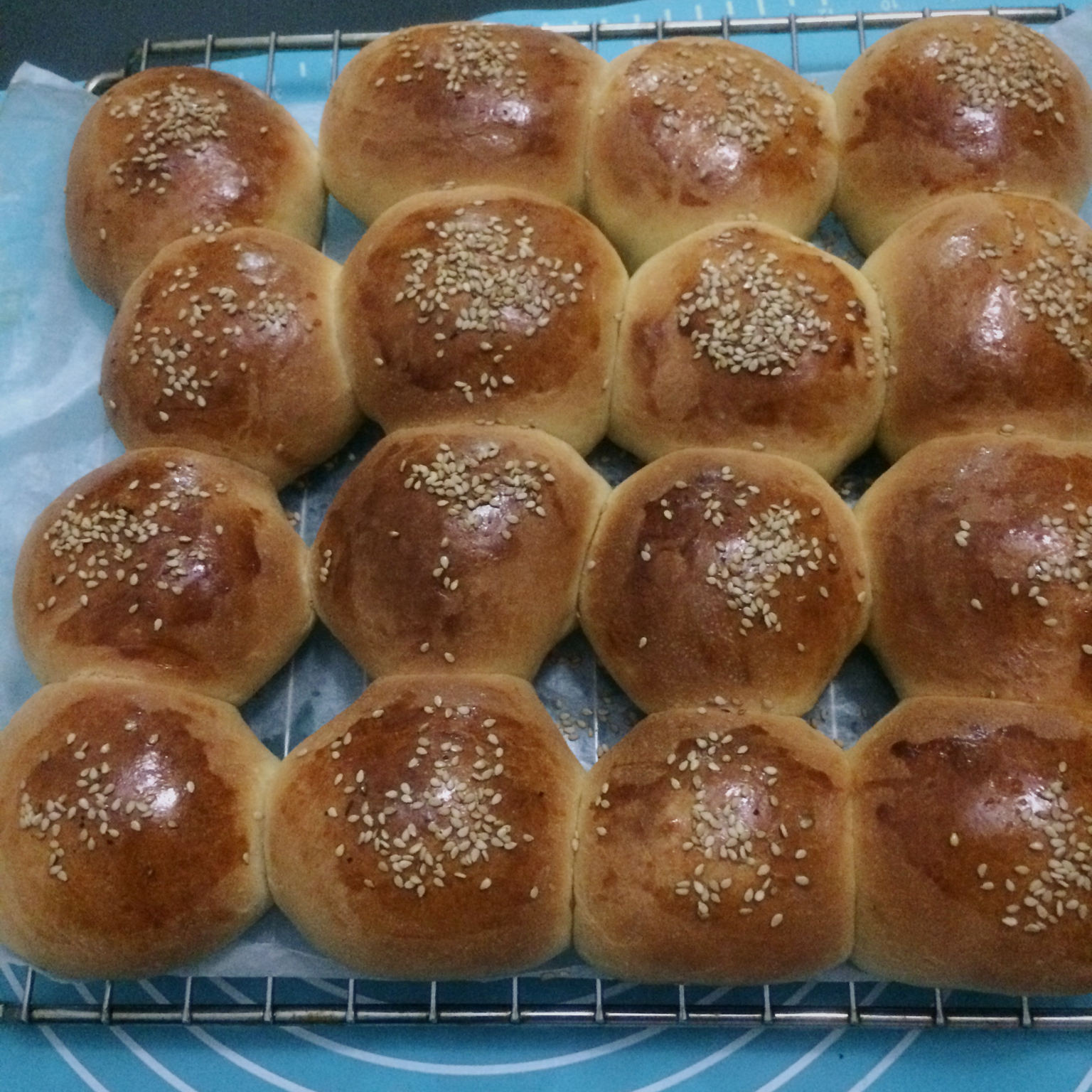 鲜奶油小餐包（一次发酵）