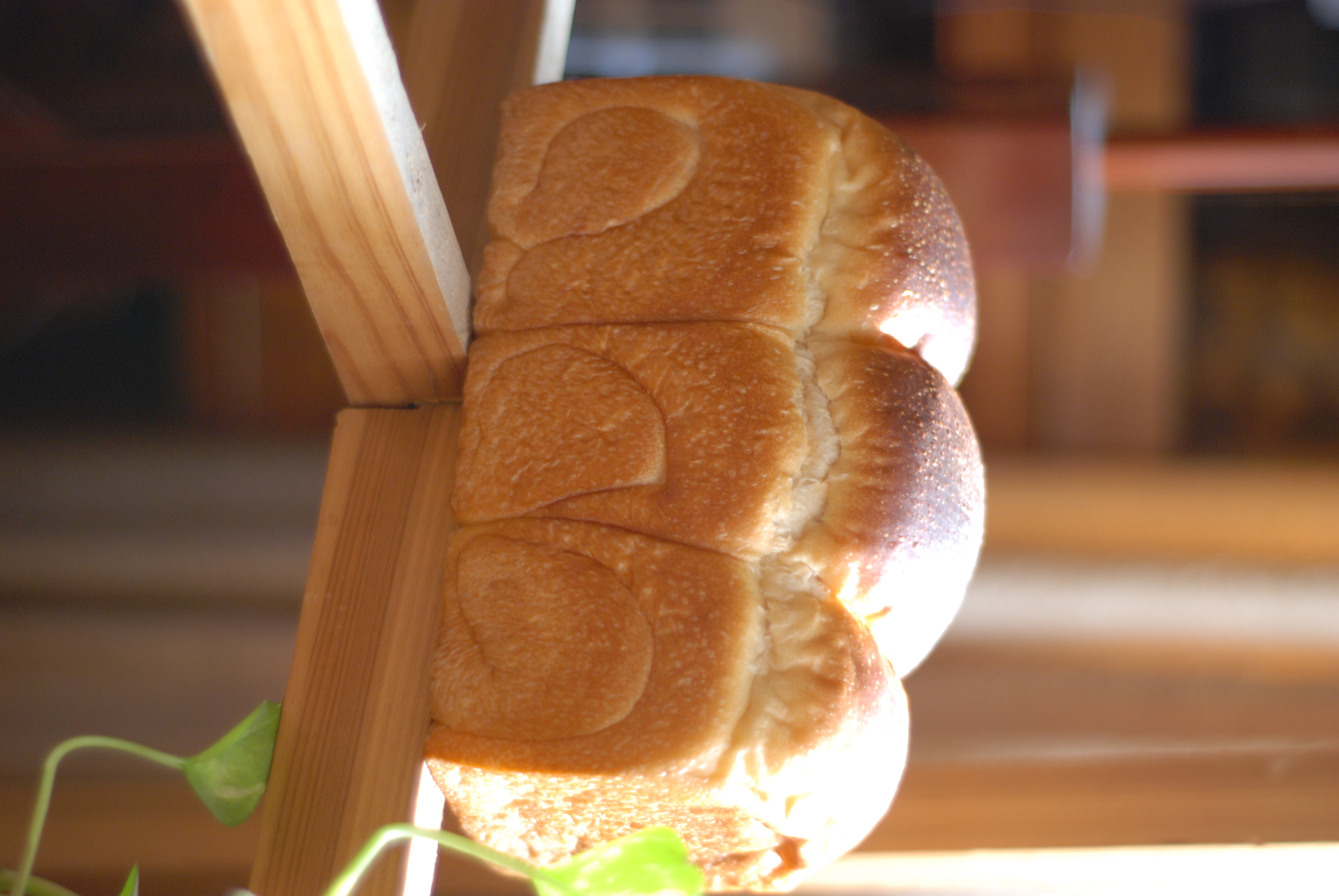 晚餐•2016年3月18日