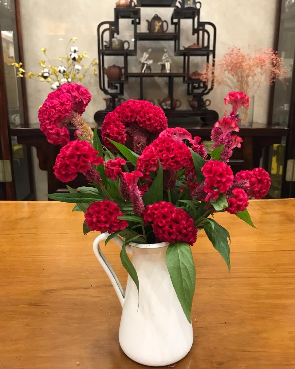 感受鲜花之美